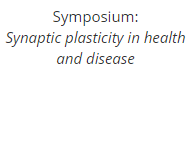 Symposium: Synaptic plasticity in health and disease