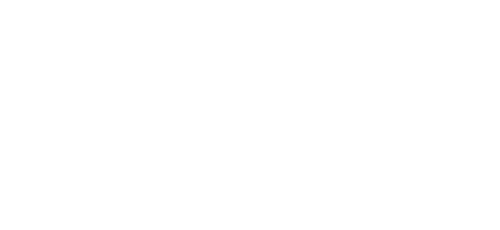 Credibility in Neuroscience 