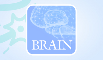 Guarantors of Brain stream