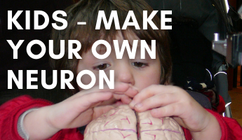 Kids - make your own neuron