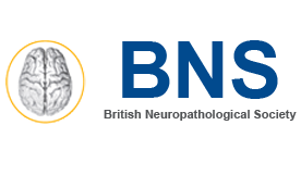 BNS logo