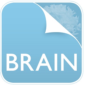 The Guarantors of Brain