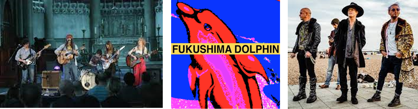 Fukashima Dolphin