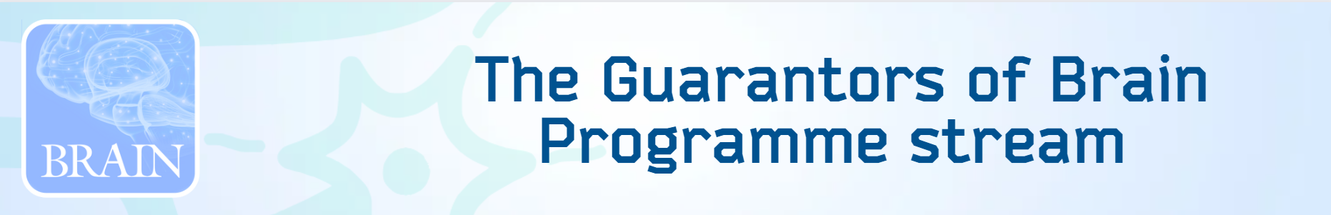 Guarantors of Brain Programme Stream