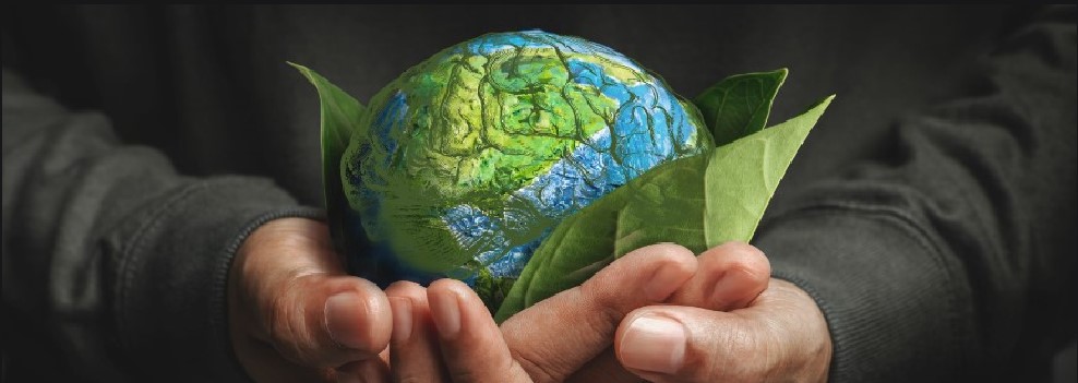 holding an earth-coloured brain in cupped hands