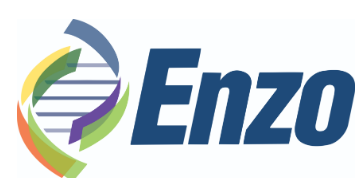 Enzo logo